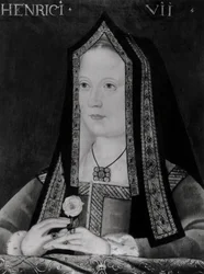 Porträt von Elizabeth von York (1465-1503)